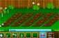 farm ville